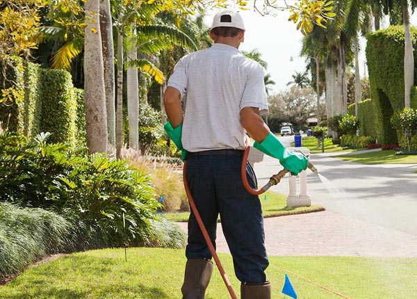 About Roca NE Pest Control